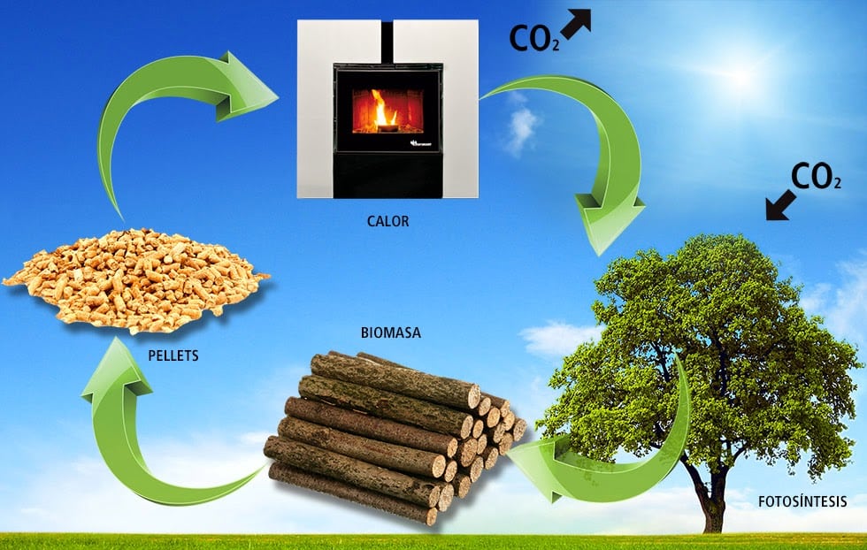 biomasse Boisseau Energies